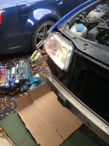 Photo-2016-02-20-11-07-10_4472