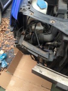 Photo-2016-02-20-11-13-43_4474